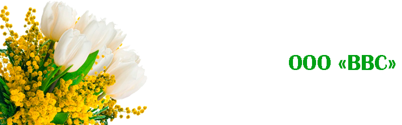 mem vvs 2.png